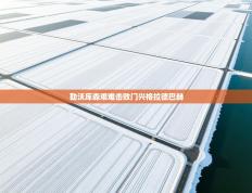 勒沃库森艰难击败门兴格拉德巴赫