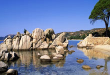 阿贾克斯主场力克莱比亚，挺进洲际杯四强