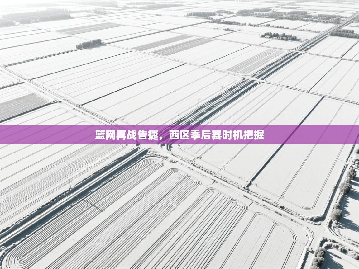 篮网再战告捷，西区季后赛时机把握  第1张