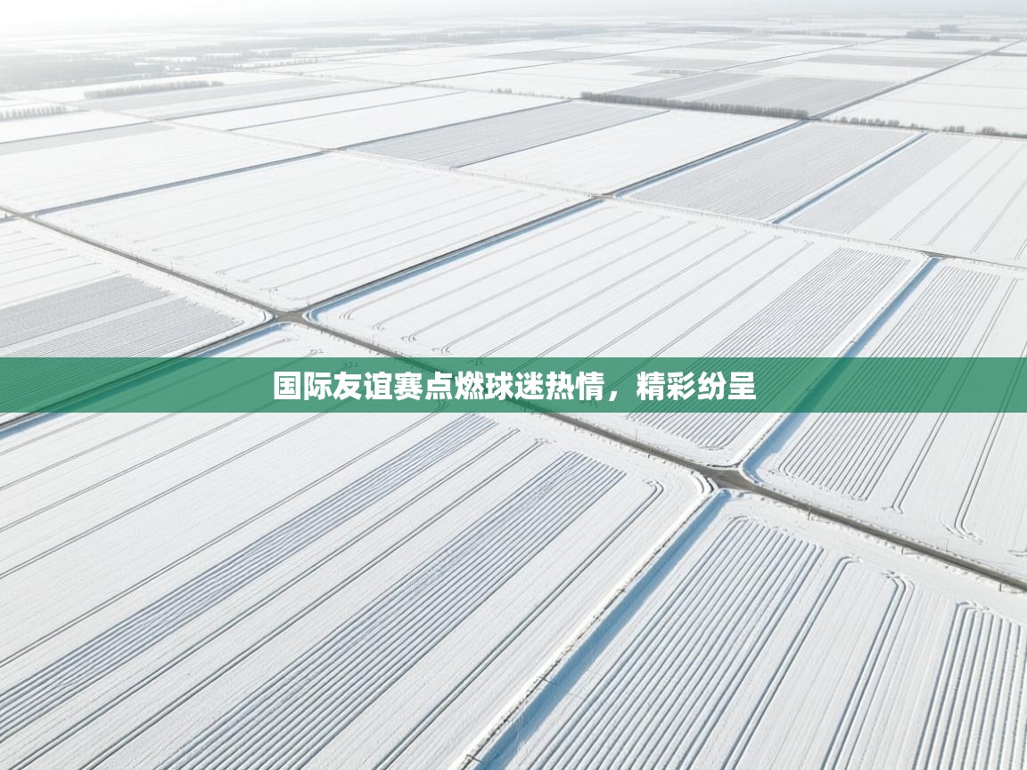 国际友谊赛点燃球迷热情，精彩纷呈  第2张