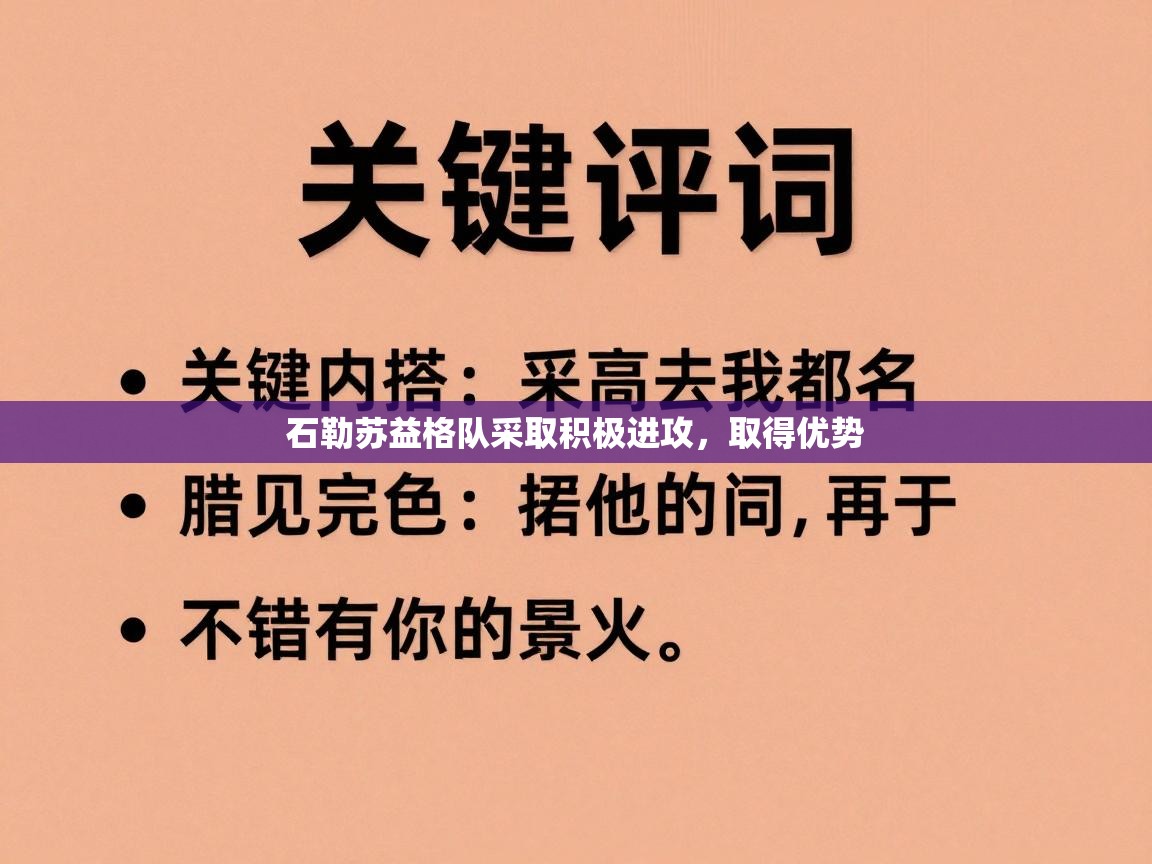 石勒苏益格队采取积极进攻,取得优势 第1张
