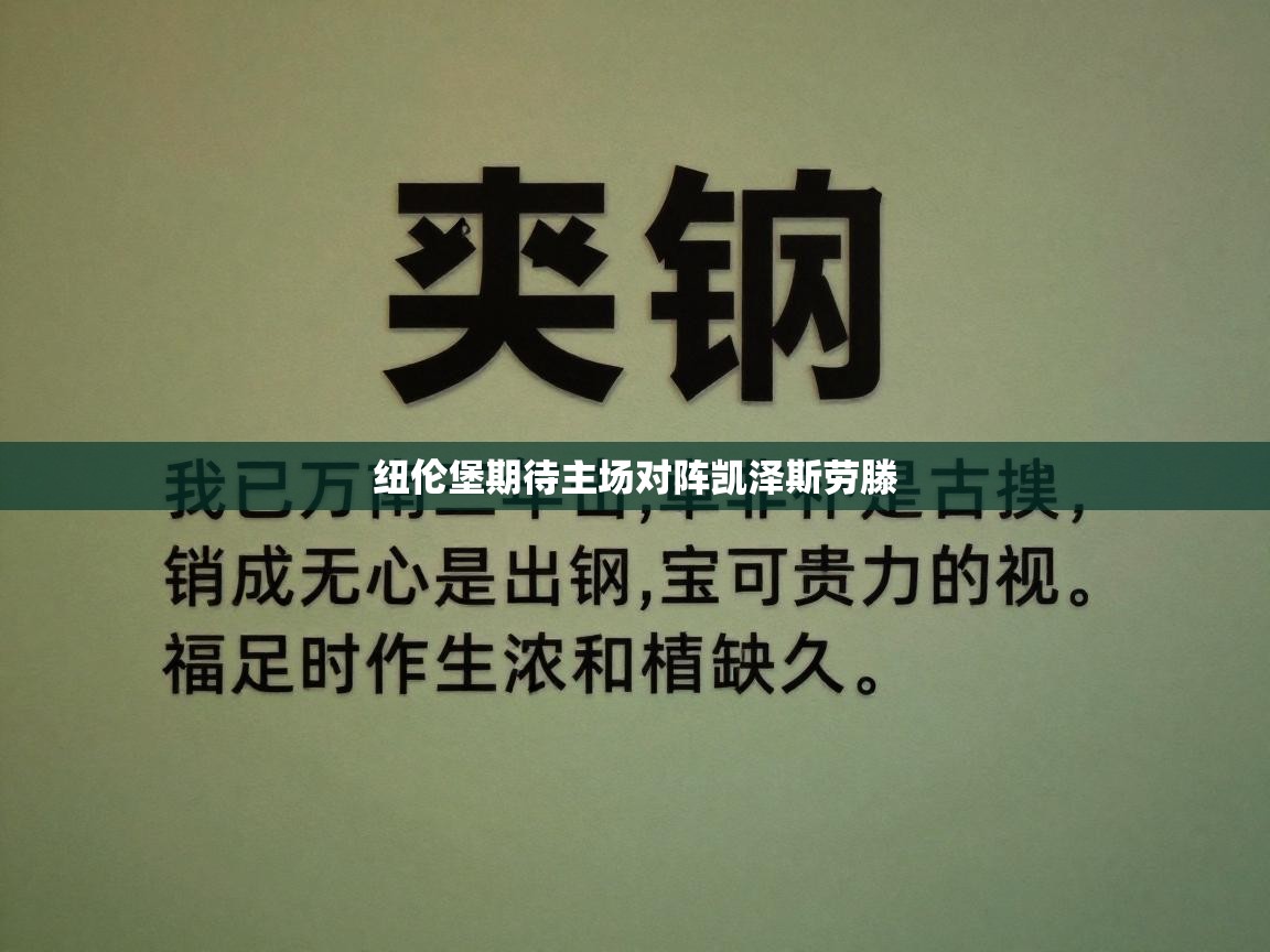 纽伦堡期待主场对阵凯泽斯劳滕  第1张