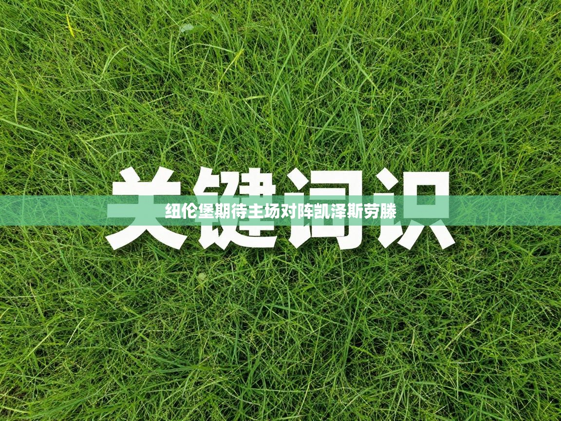 纽伦堡期待主场对阵凯泽斯劳滕  第2张