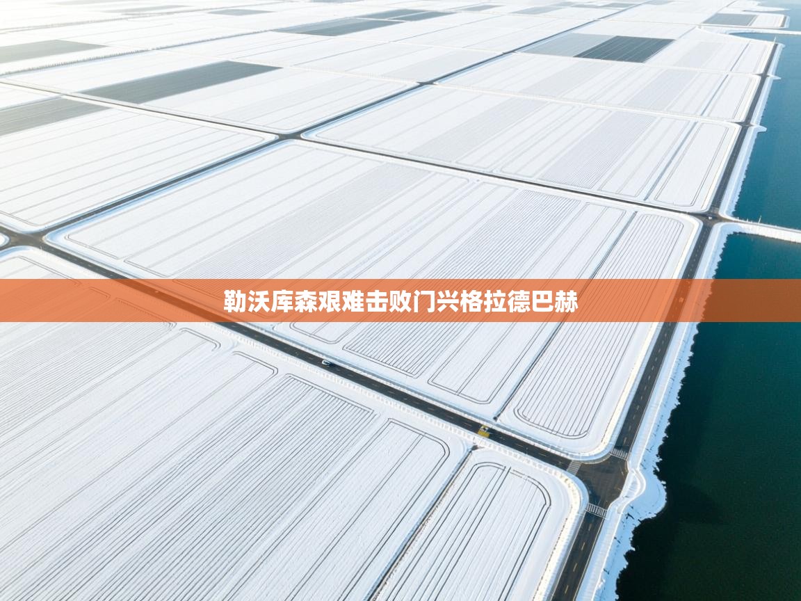 勒沃库森艰难击败门兴格拉德巴赫  第1张